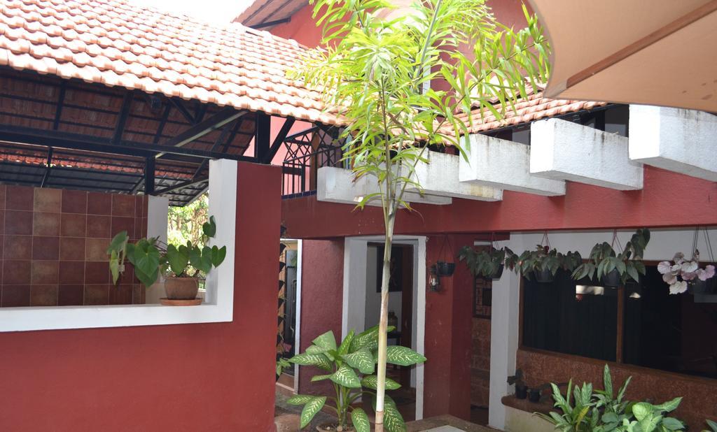 Casa Tropicana - Hotel & Homestays باناجي المظهر الخارجي الصورة